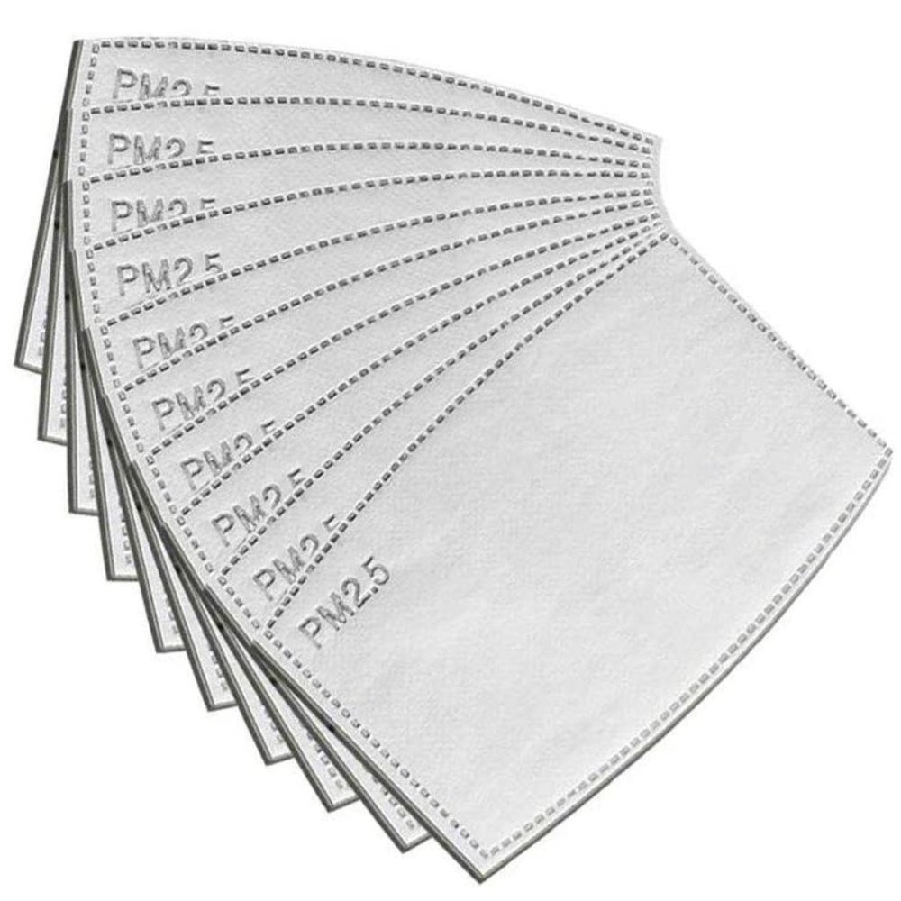 10 Adult PM 2.5 Activated Carbon Filters